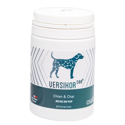 Versikor 500® - chien et chat