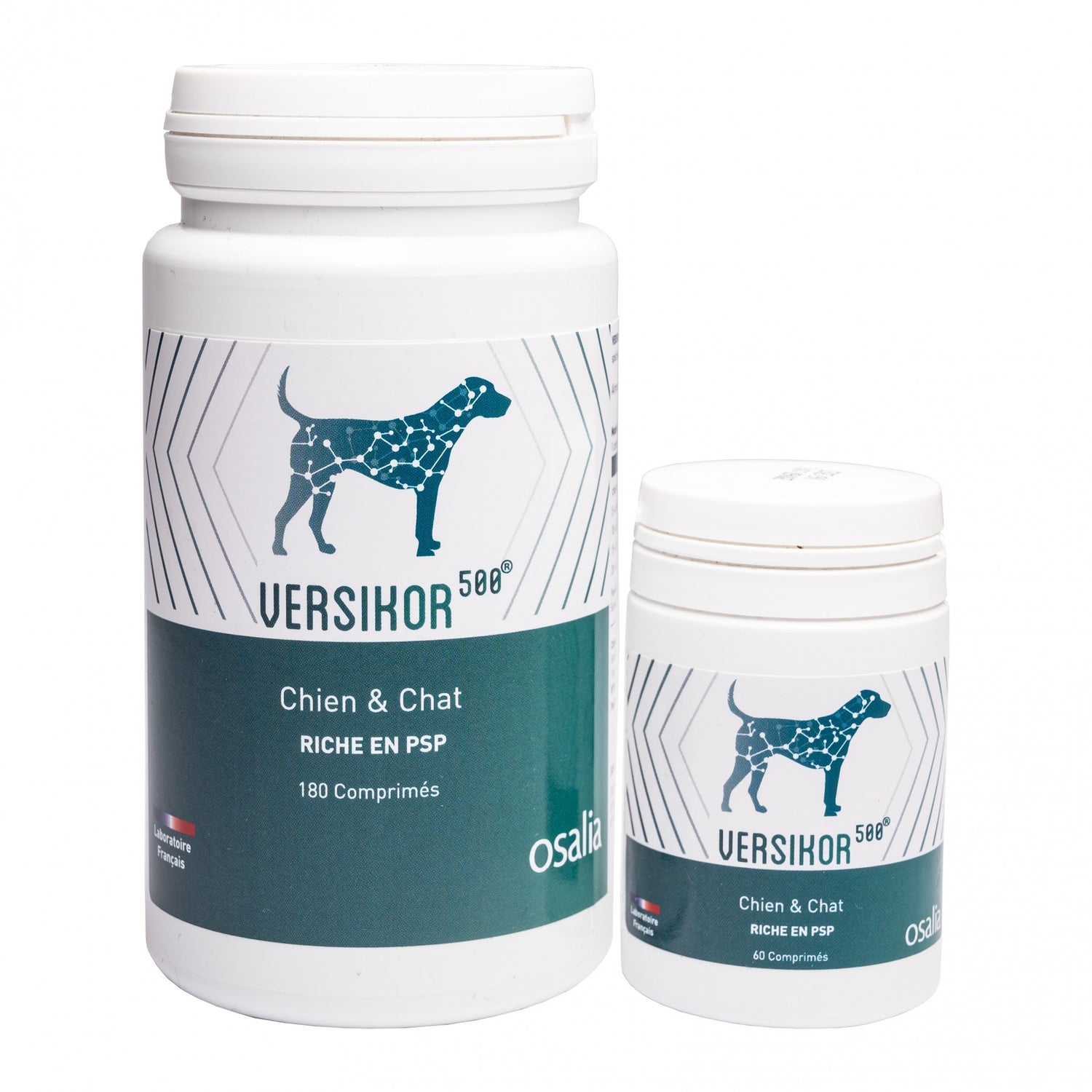 Versikor 500® - chien et chat