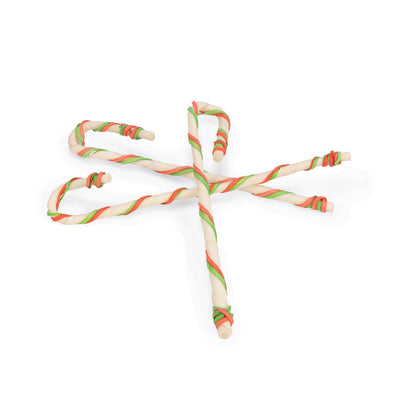 Canne de Noël chien