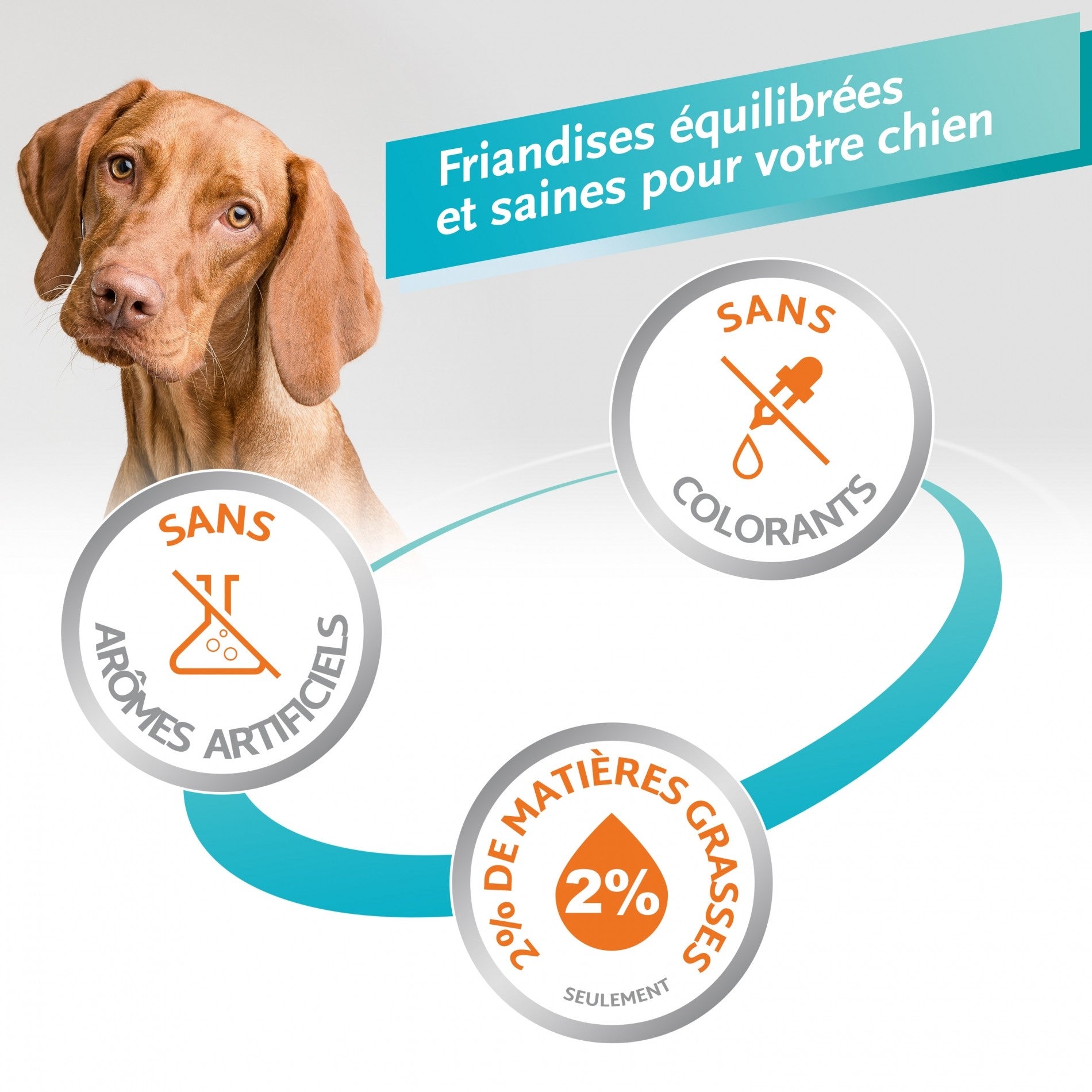 Os à mâcher Delights Pro, contre la plaque dentaire