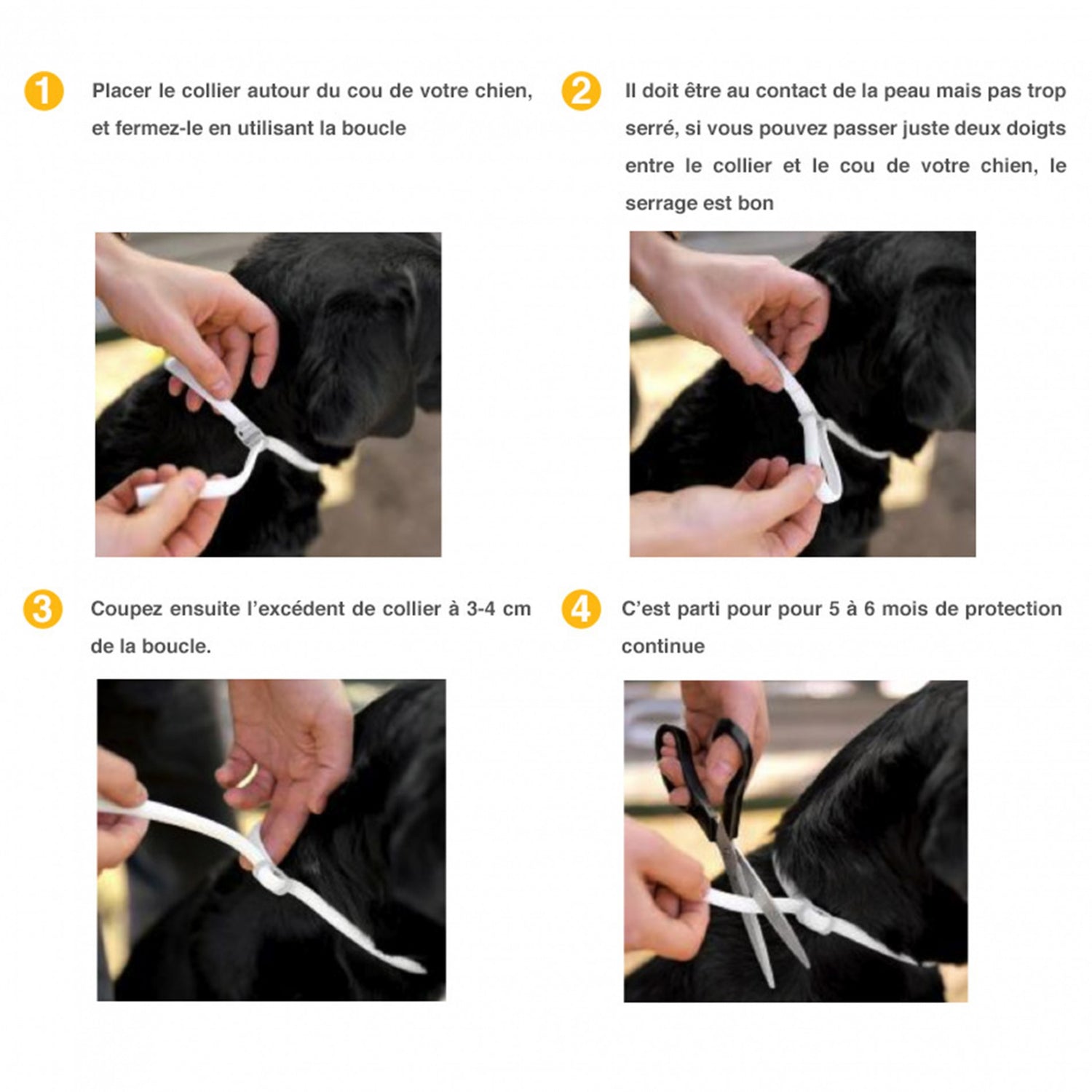 Collier antiparasitaire Scalibor chien
