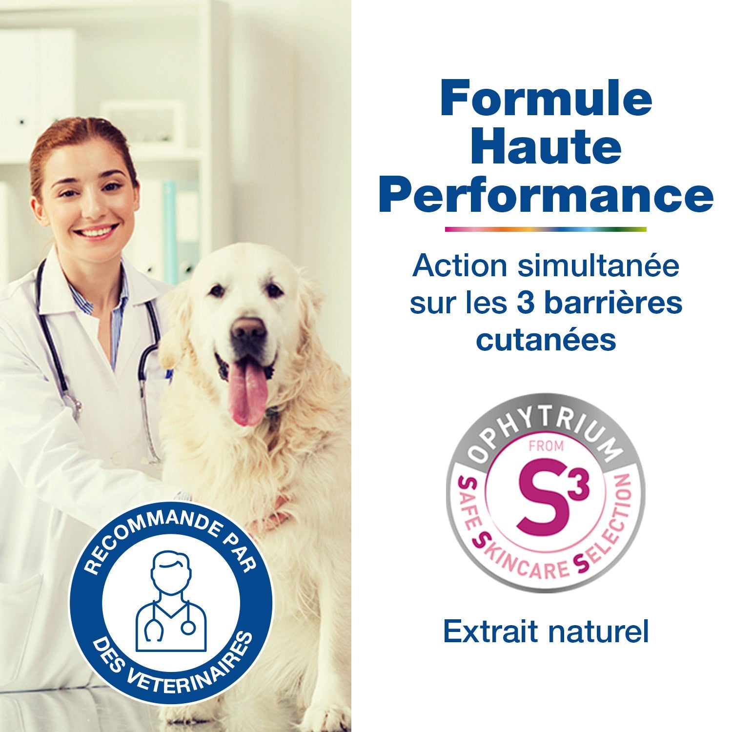 Douxo S3 Calm shampooing chien, chat