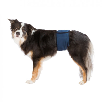 Bande ventrale pour chiens mâles
