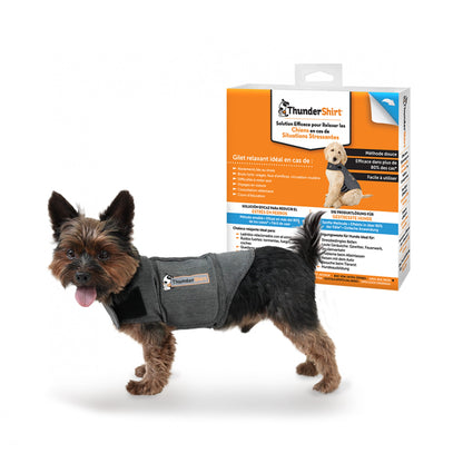 Thundershirt gilet relaxant chien