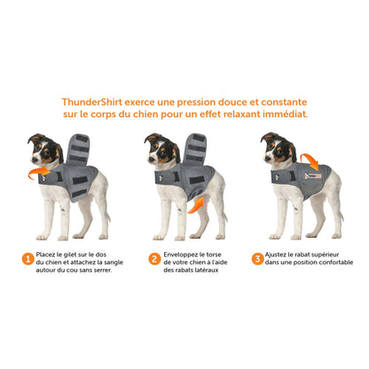 Thundershirt gilet relaxant chien