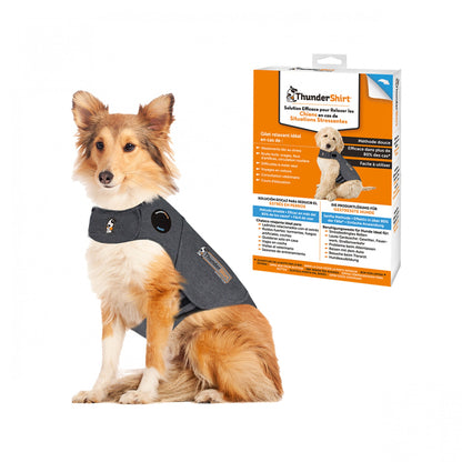 Thundershirt gilet relaxant chien