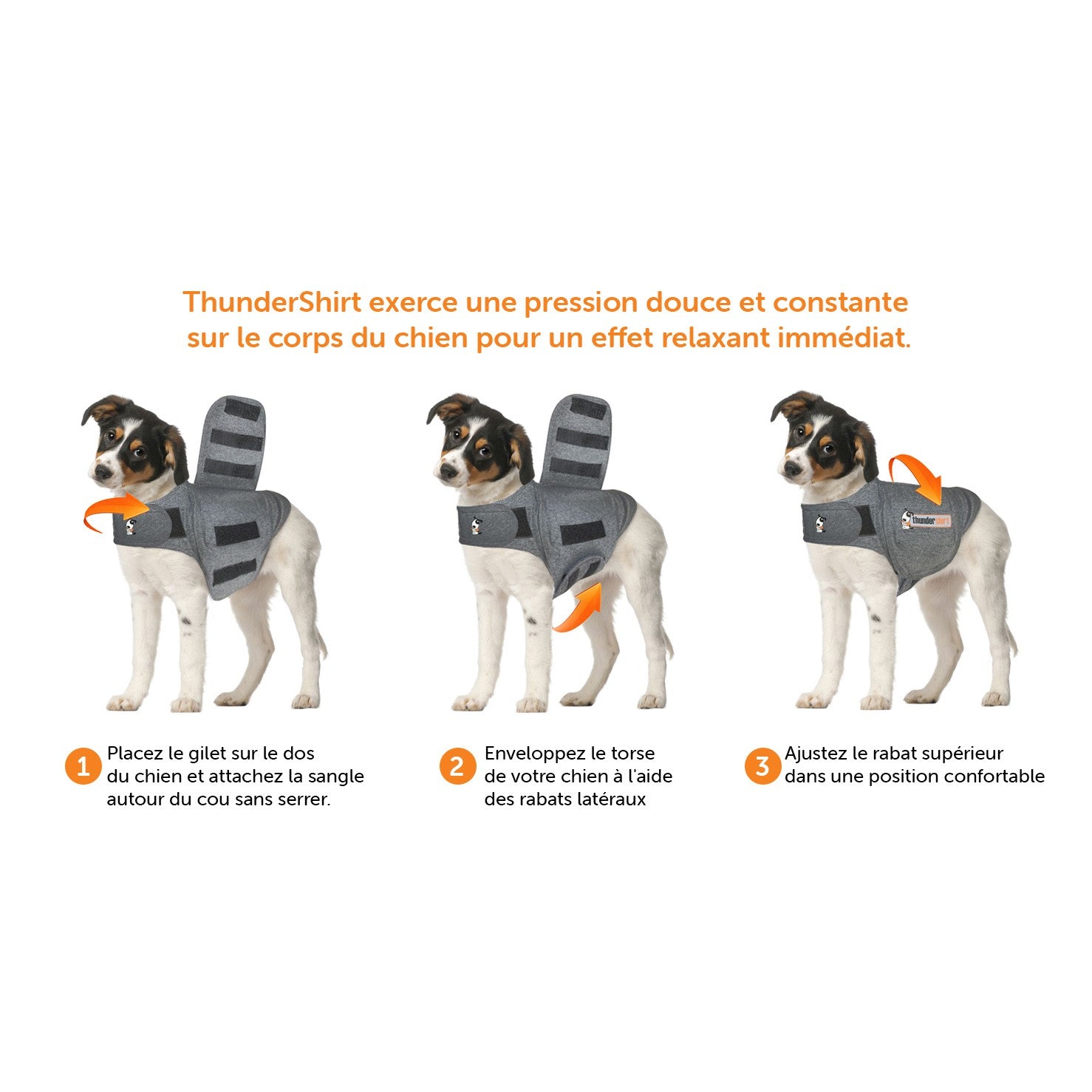 Thundershirt gilet relaxant chien