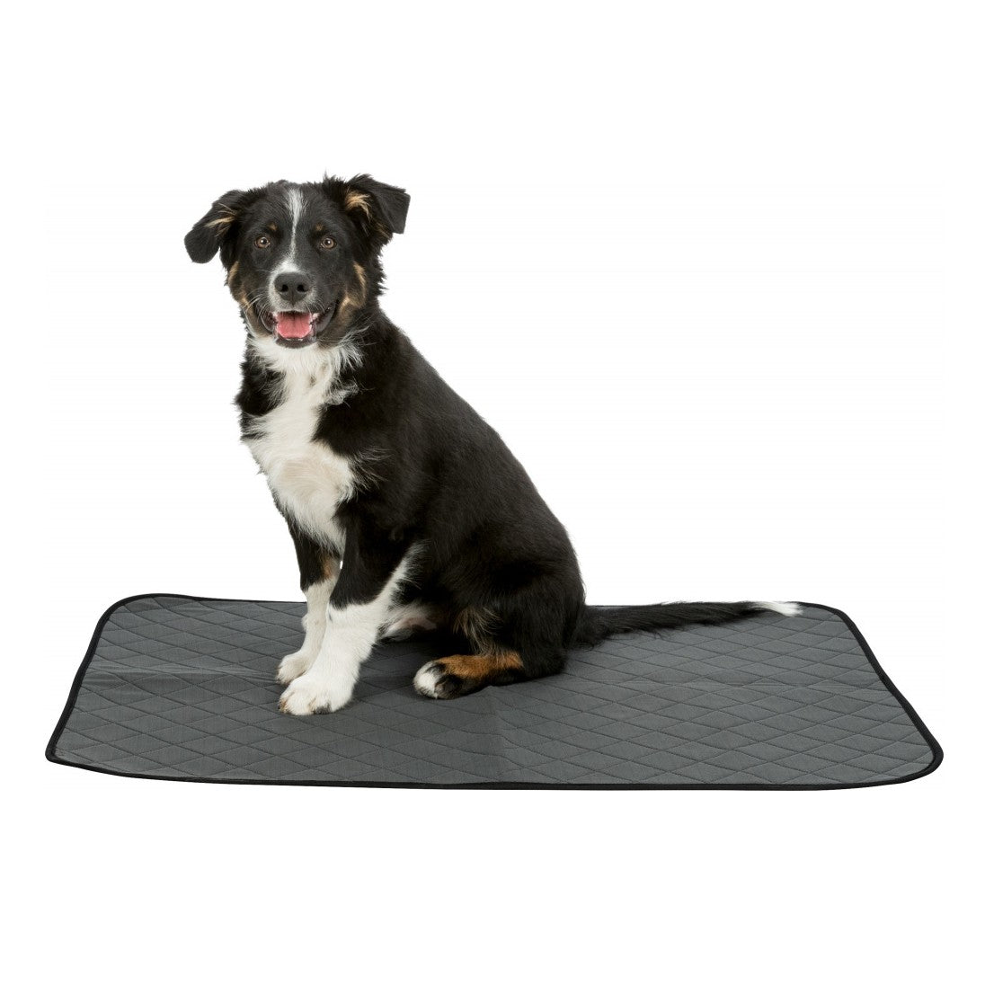 Tapis éducateur Nappy Wash chien