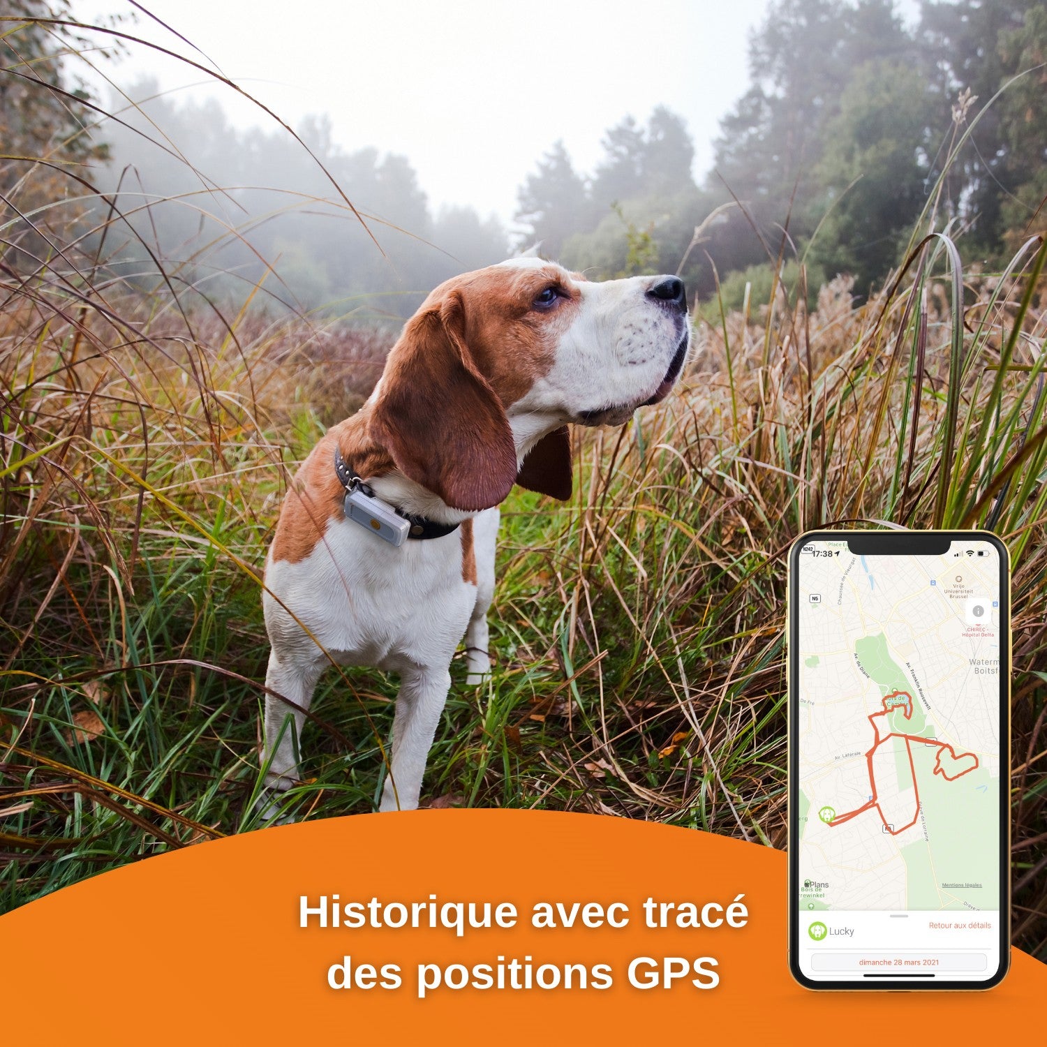 Traceur GPS Dogs 2 en temps réel chien