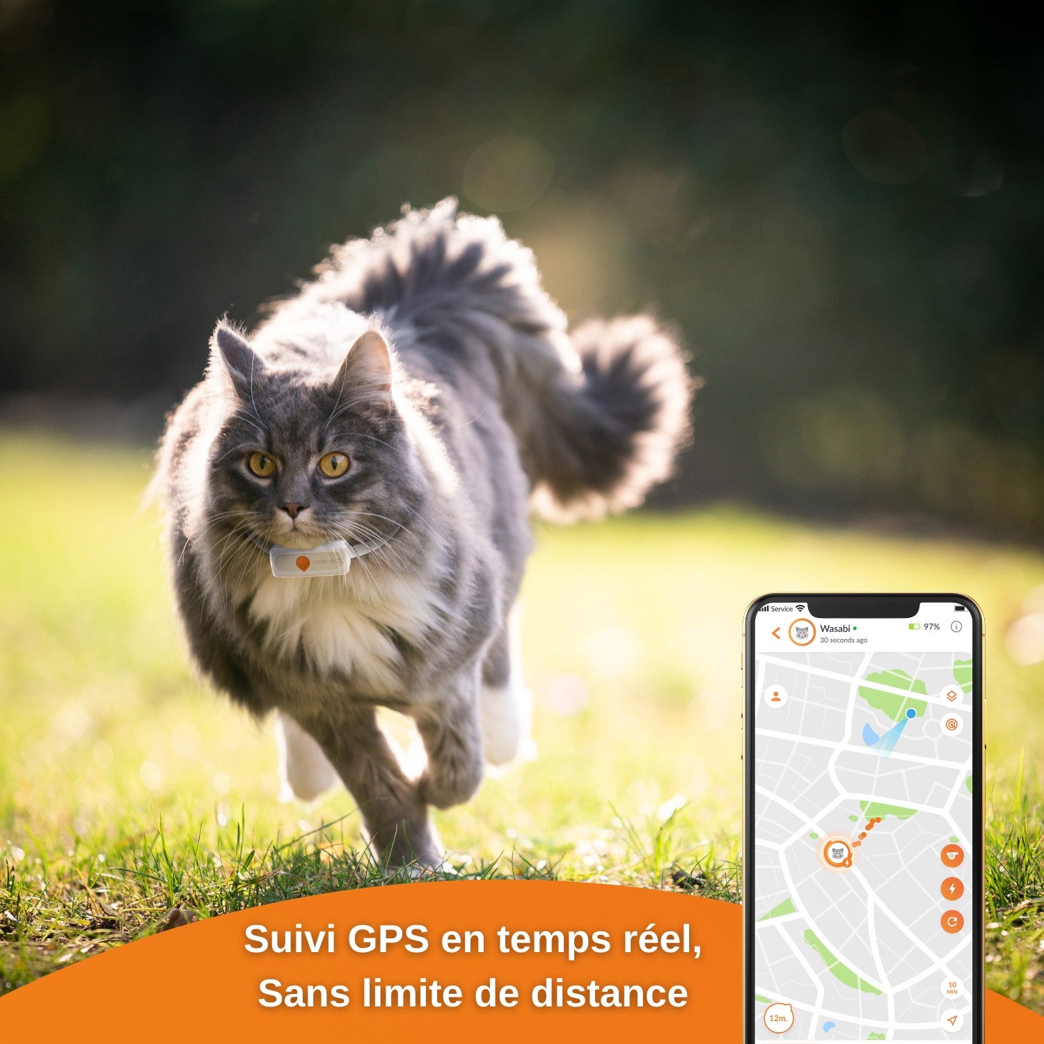 Collier GPS Weenect XS blanc chat
