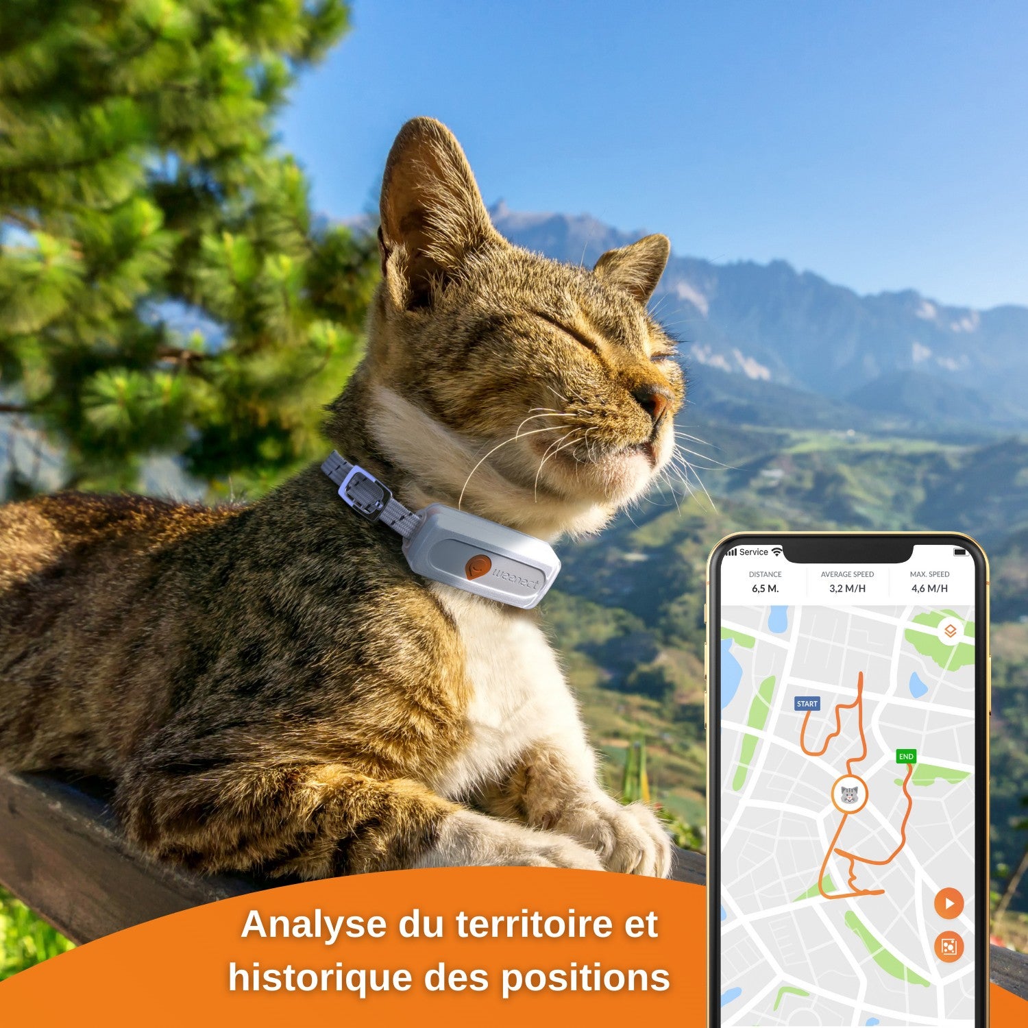 Collier GPS Weenect XS blanc chat