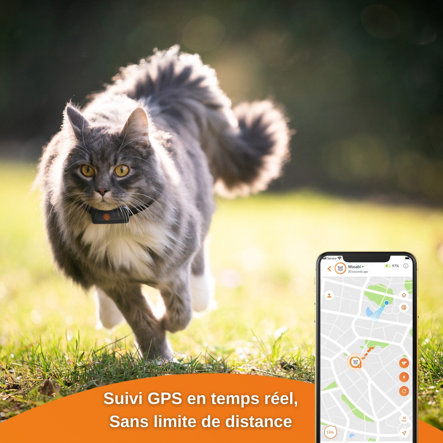 Collier GPS Weenect XS noir chat