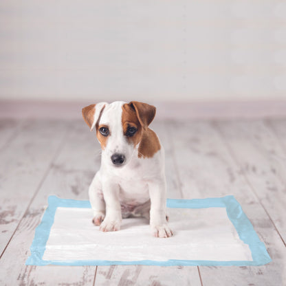 Tapis d’éducation