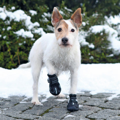 Bottes de protection Walker Active chien