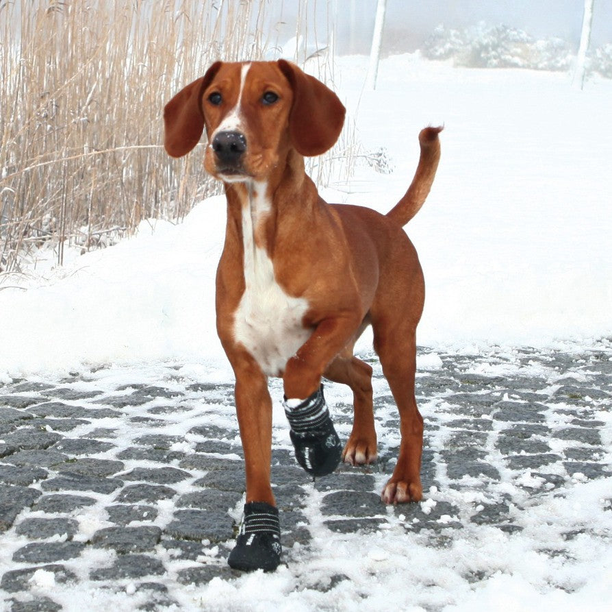 Bottes de protection Walker Active chien