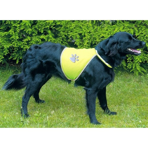 Gilet de sécurité réfléchissant chien