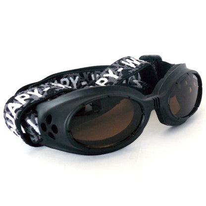 Lunettes de soleil chien