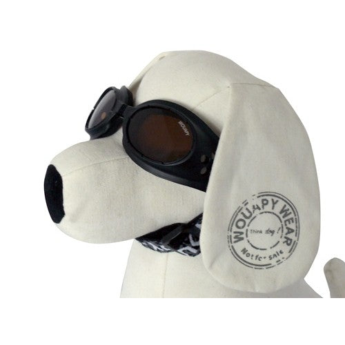 Lunettes de soleil chien