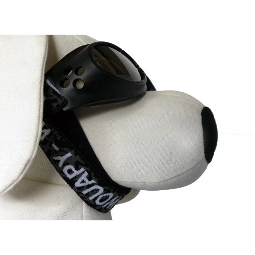 Lunettes de soleil chien