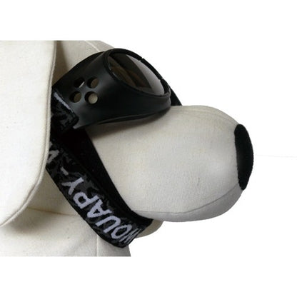 Lunettes de soleil chien