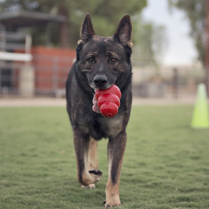 Jouet Classic KONG - Jouet à mâcher pour chien