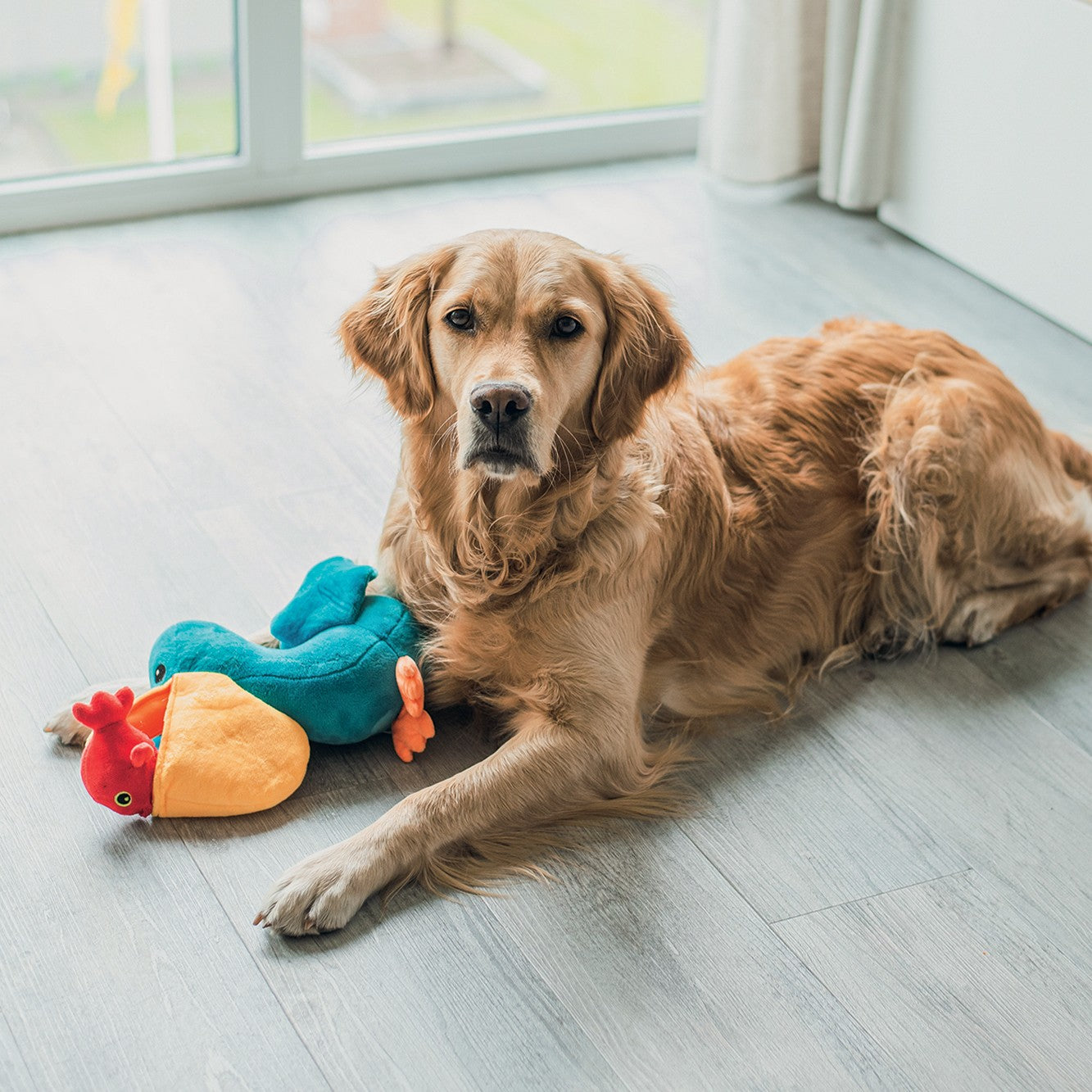 Peluche pélican chien