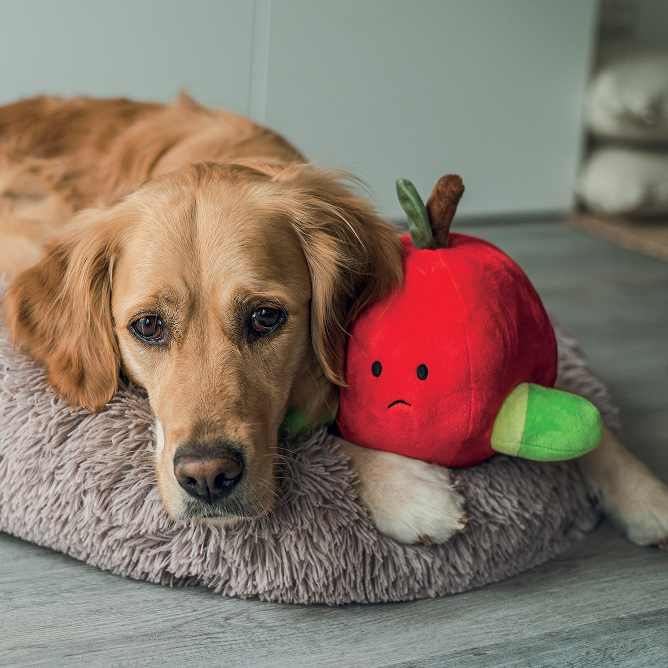Peluche pomme chien