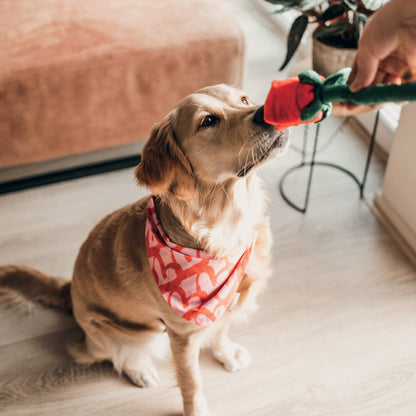 Peluche en forme de rose chien