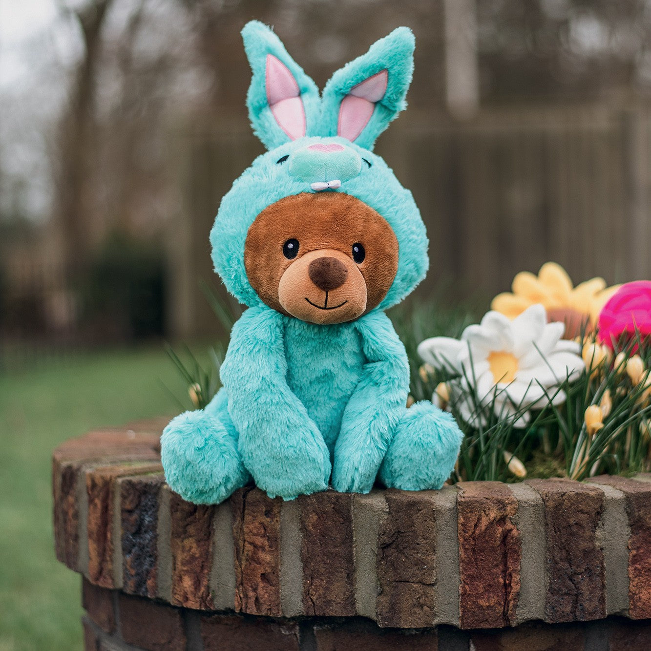 Ours Bunny Barry chien