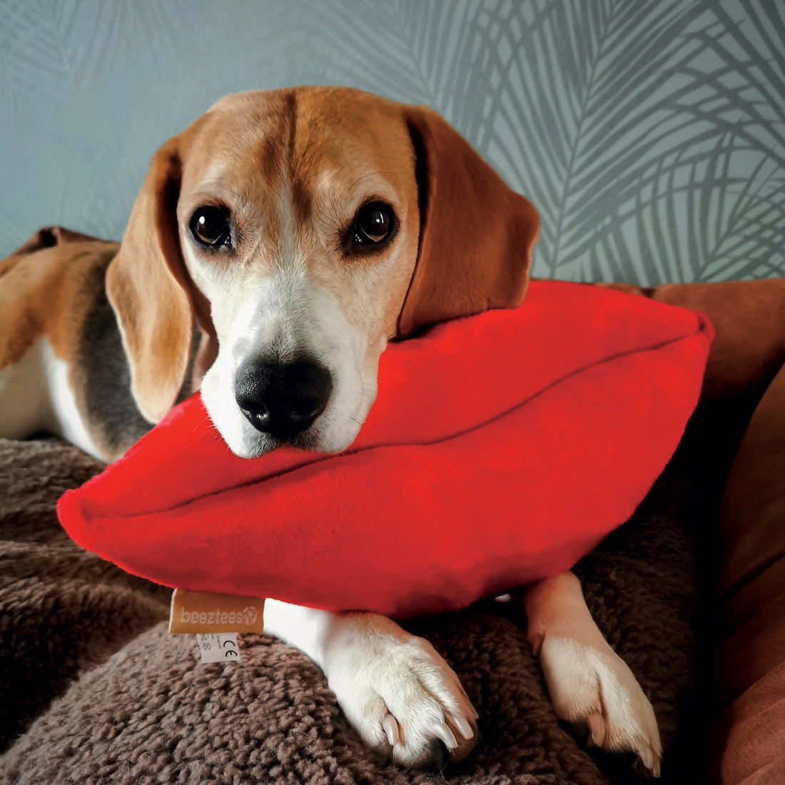 Peluche Kiss
