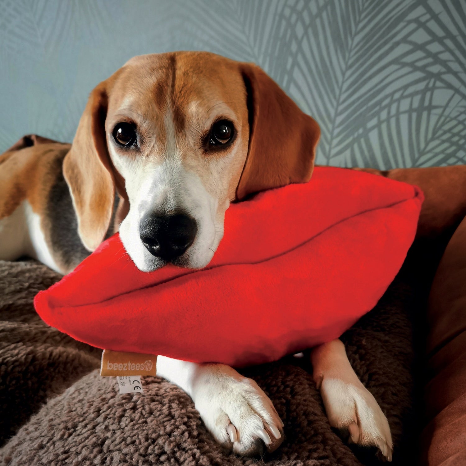 Peluche Kiss
