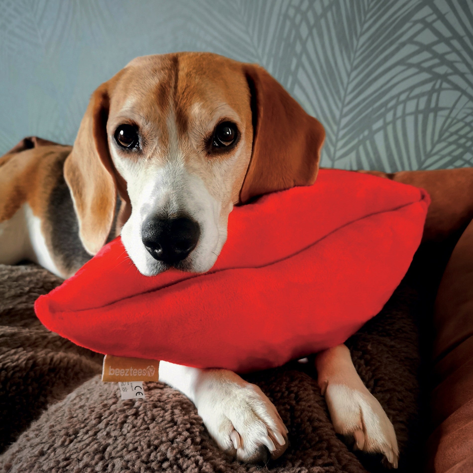 Peluche Kiss