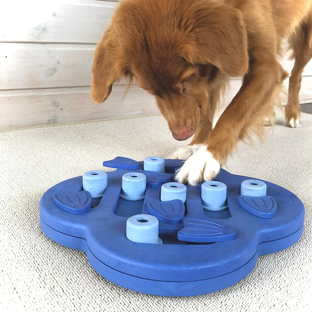 Dog Hide N&