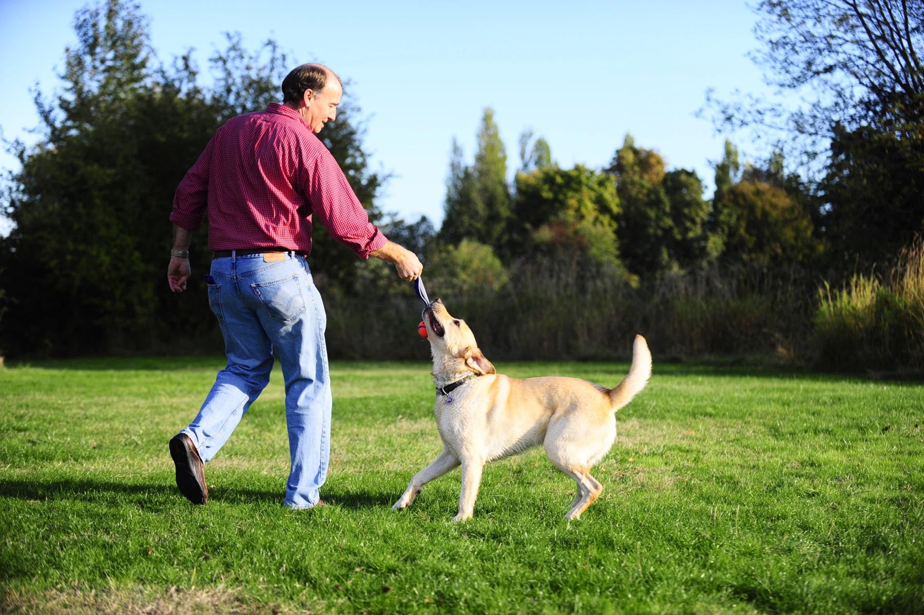 Balle flottante Ultra Tug chien