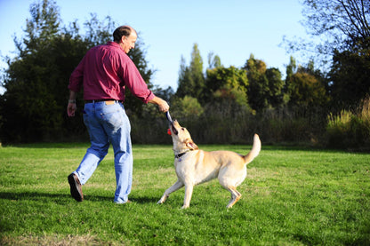 Balle flottante Ultra Tug chien