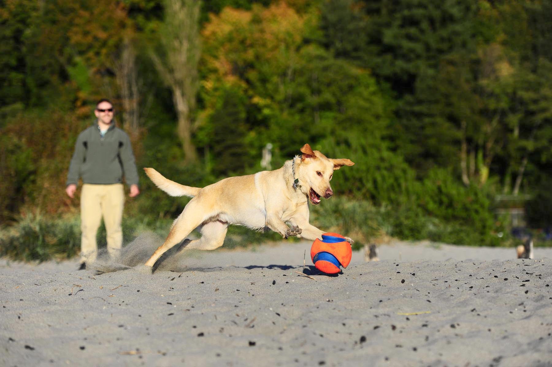 Ballon Kick Fetch