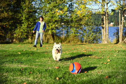 Ballon Kick Fetch