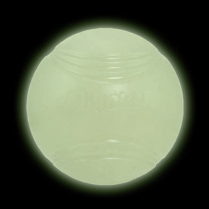 Balle lumineuse Max Glow chien