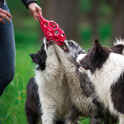 Balle XL Hol-EE roller chien