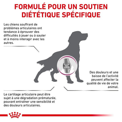 Royal Canin Veterinary Mobility Support - croquettes chien