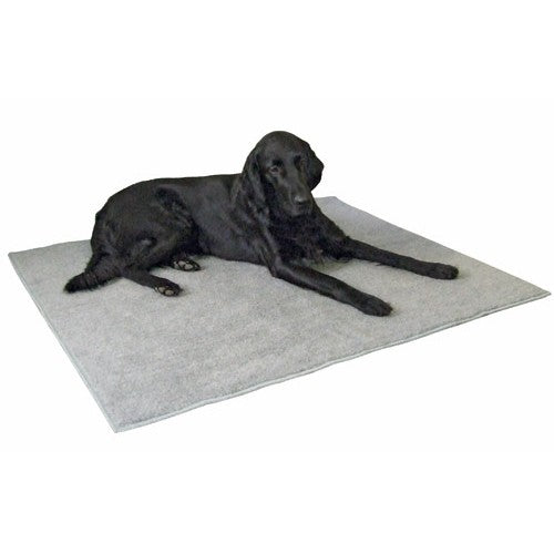 Tapis antidérapant