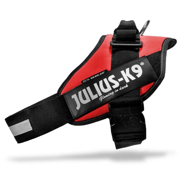Harnais IDC Power rouge chien