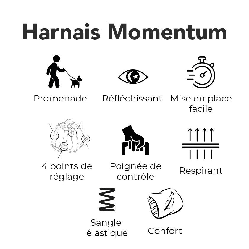 Harnais Momentum noir - chien