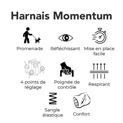 Harnais Momentum noir - chien