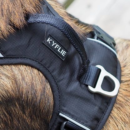 Harnais Momentum noir - chien