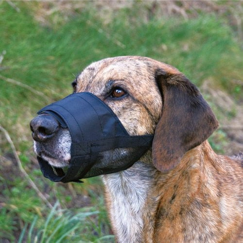 Muselière filet en nylon chien