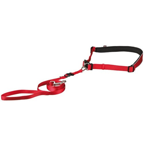 Ceinture ventrale avec laisse chien