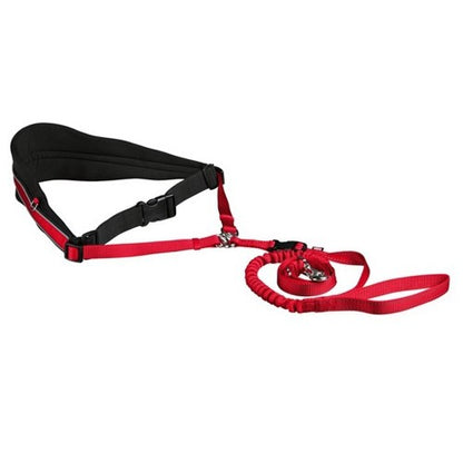 Ceinture ventrale avec laisse chien