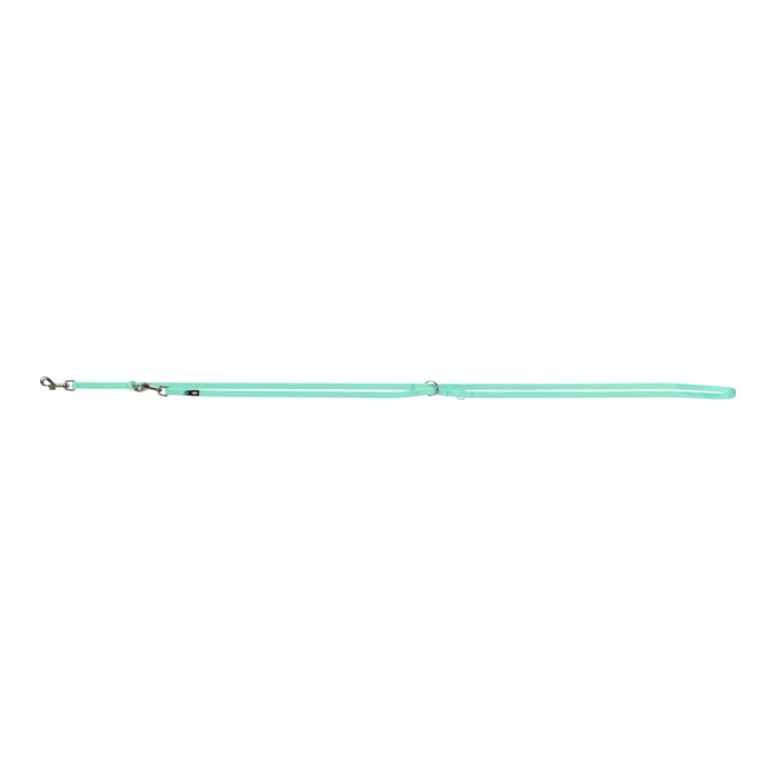 Laisse Premium réglable - Vert Menthe