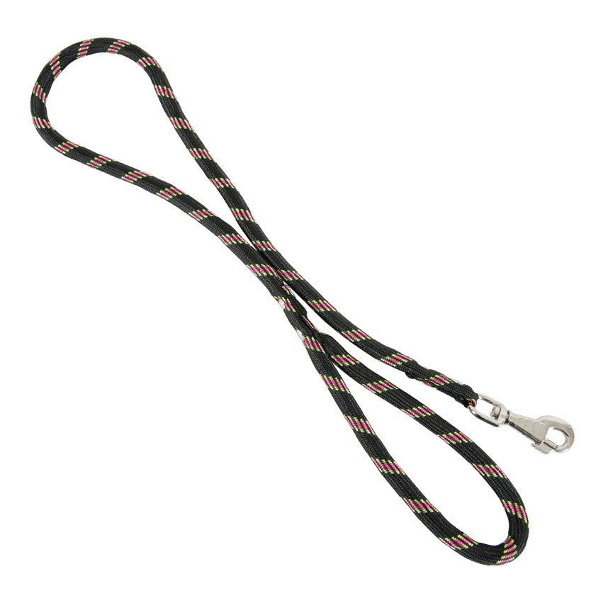 Laisse corde en nylon chien